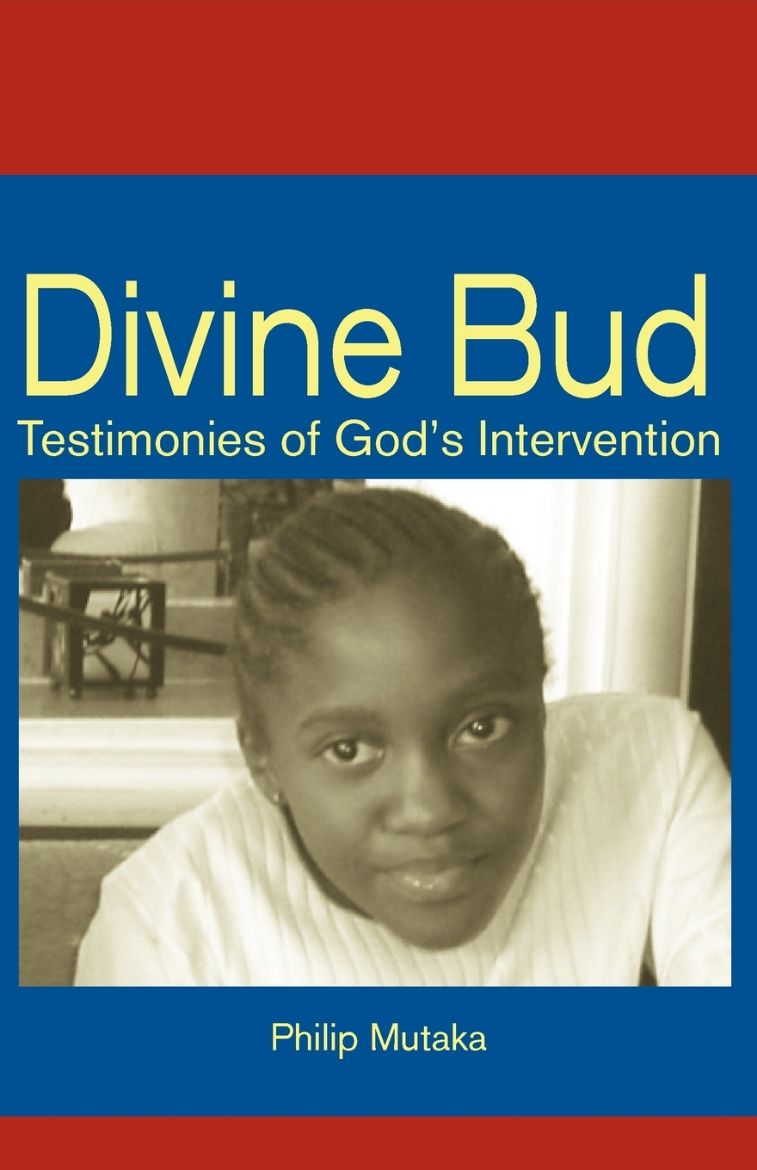 Immagine di Divine Bud