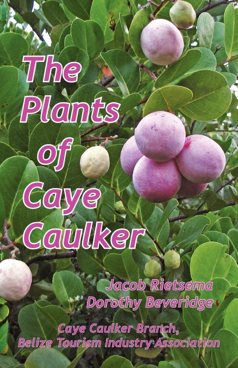 Immagine di The Plants of Caye Caulker