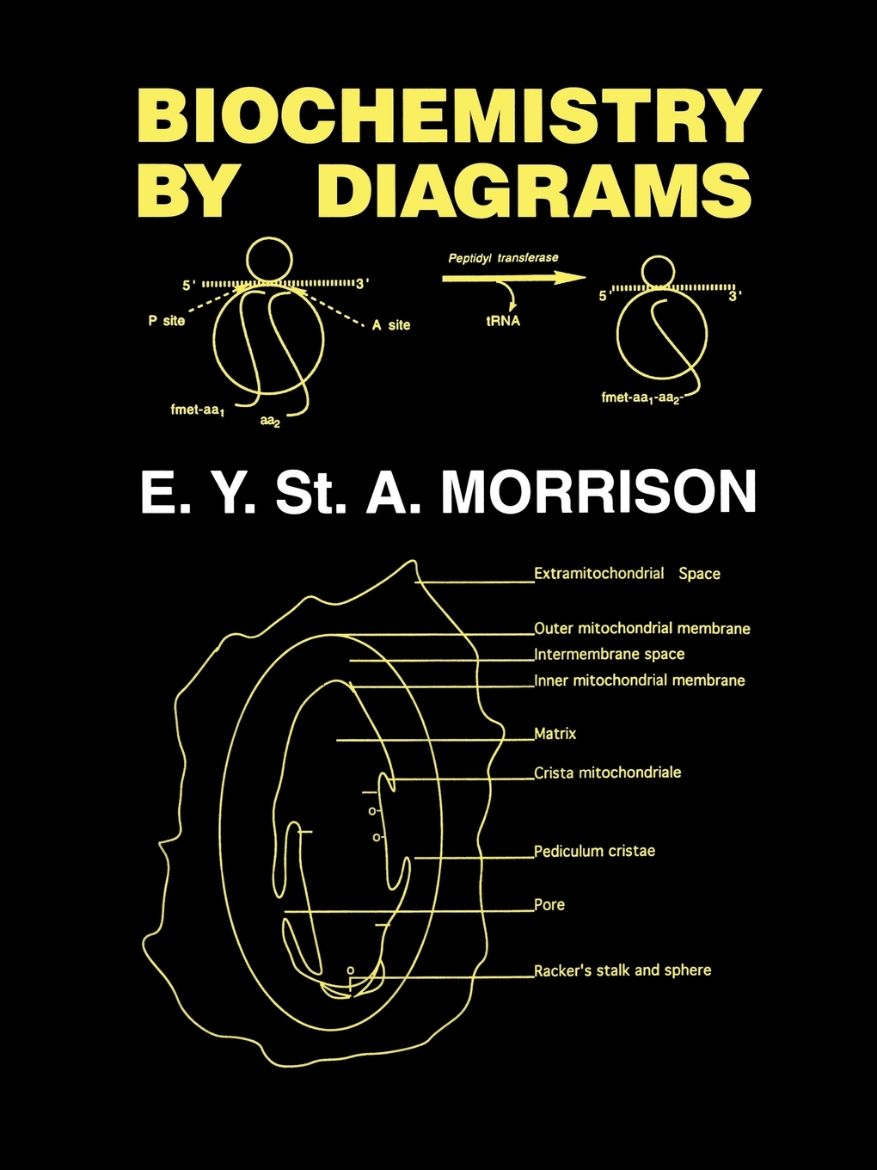 Immagine di Biochemistry by Diagrams