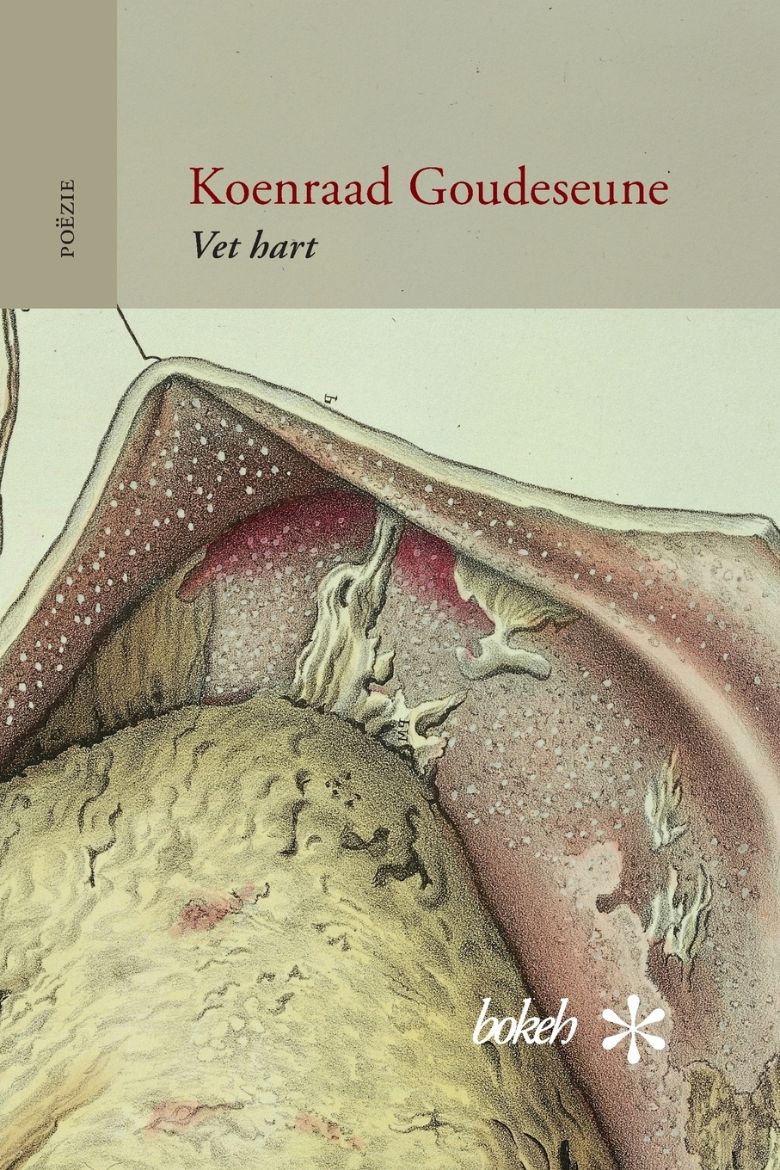 Immagine di Vet hart
