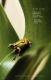 Immagine di Second Nature