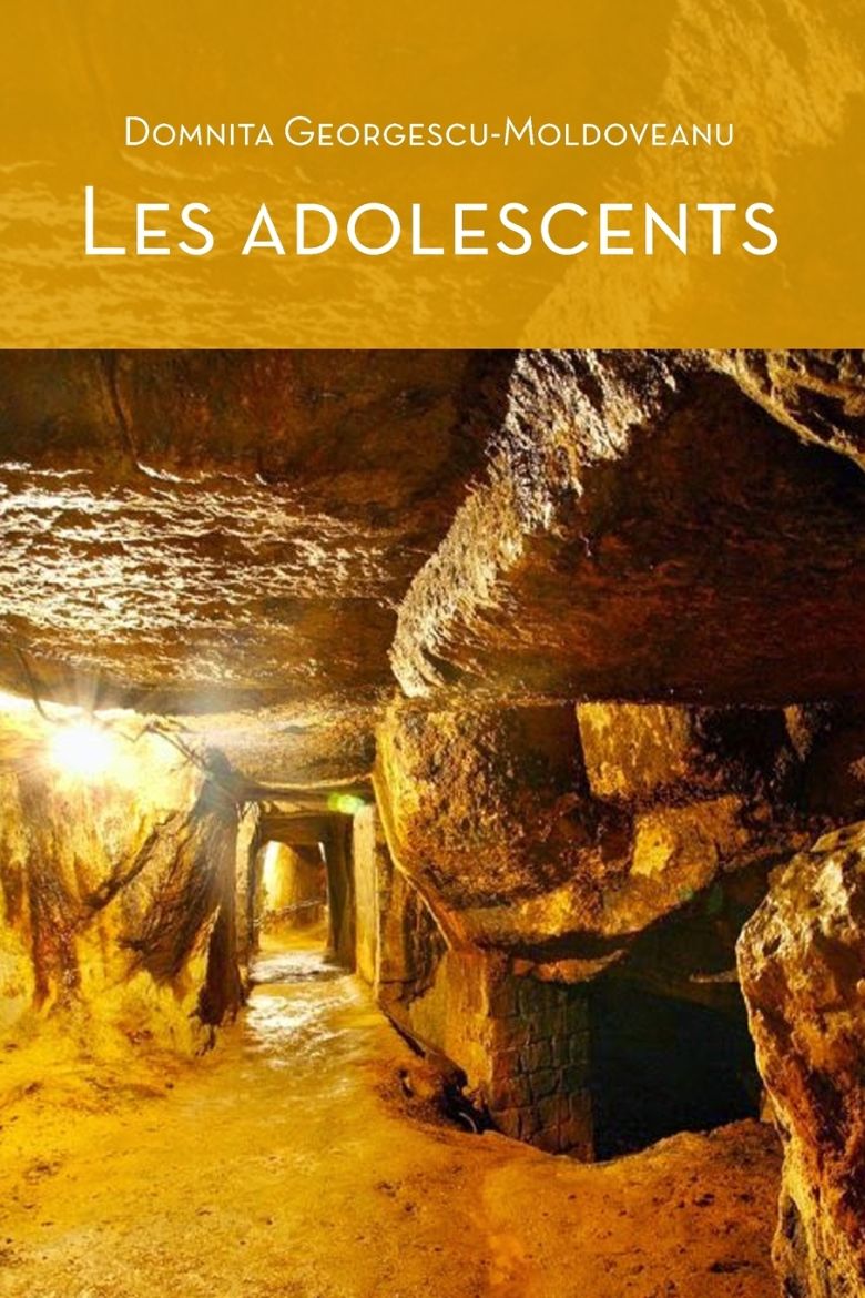 Immagine di Les Adolescents (cœur D'or) - 2nd Edition