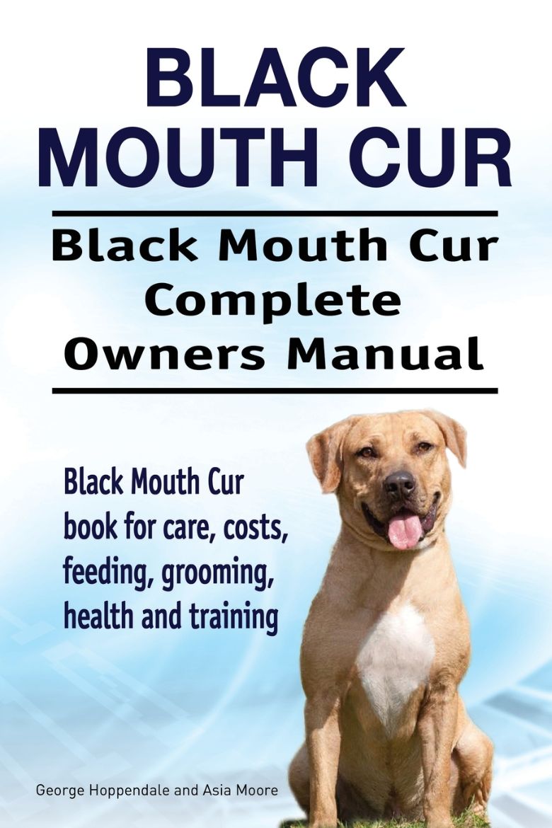 Immagine di Black Mouth Cur. Black Mouth Cur Complete Owners Manual. Black Mouth Cur book for care, costs, feeding, grooming, health and training.