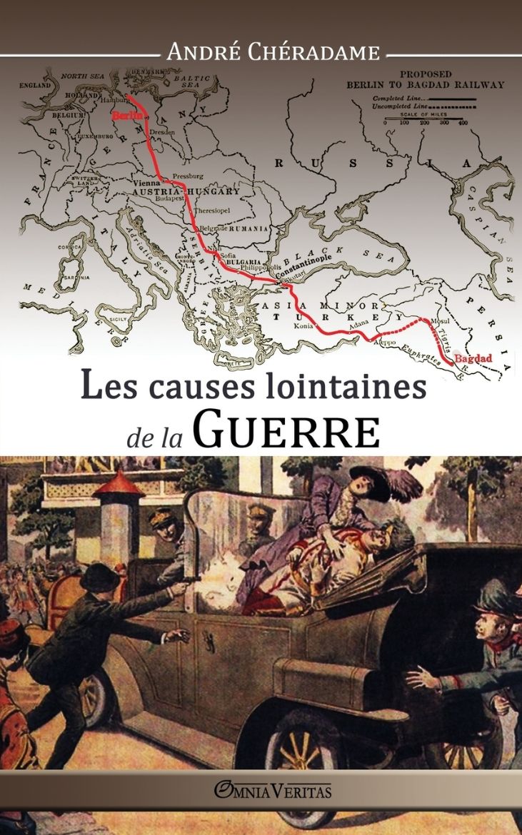 Immagine di Les causes lointaines de la guerre