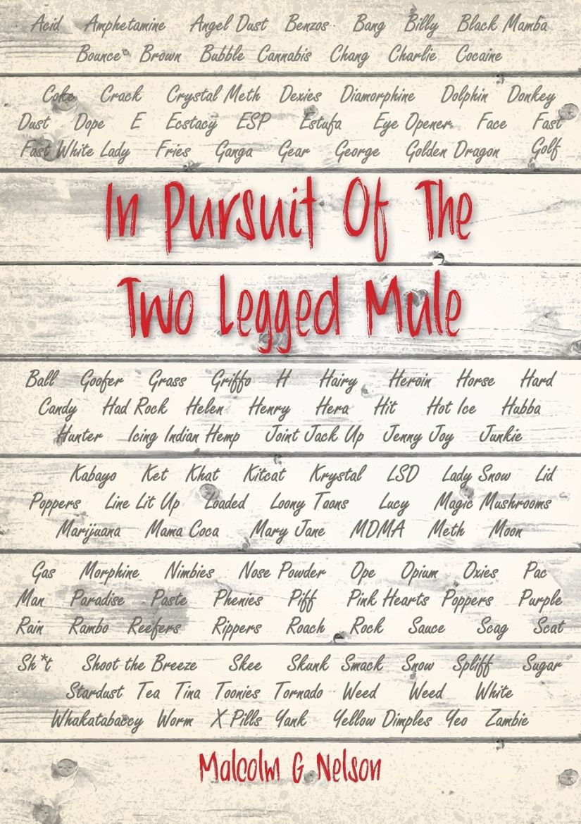 Immagine di IN PURSUIT OF THE TWO LEGGED MULE