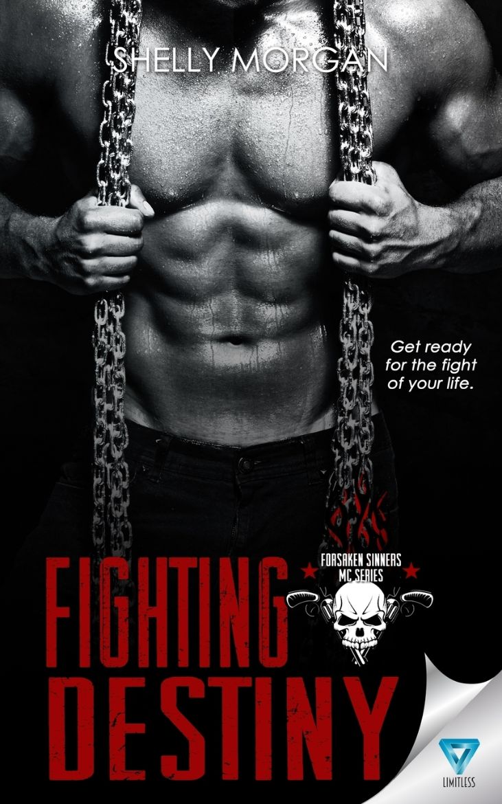 Immagine di Fighting Destiny