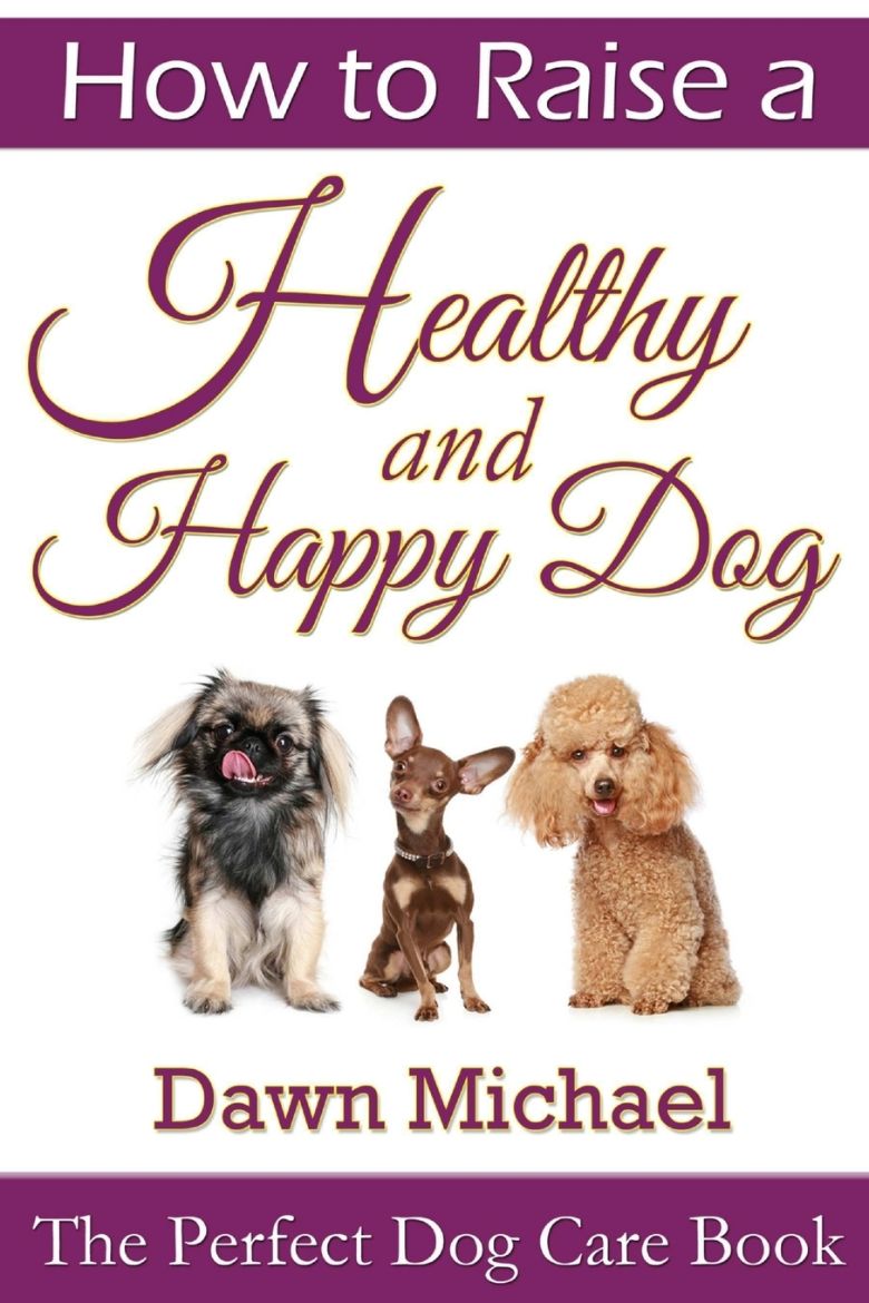 Immagine di How to Raise a Healthy and Happy Dog