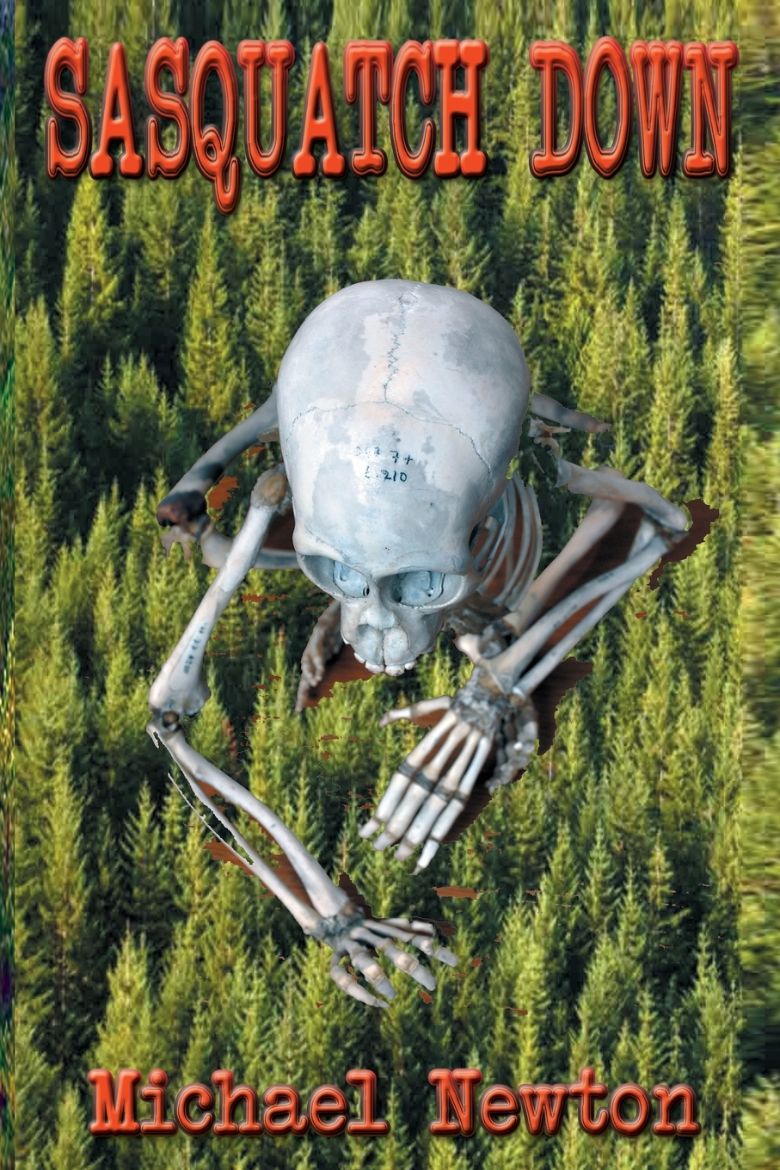 Immagine di Sasquatch Down