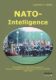 Immagine di NATO-Intelligence