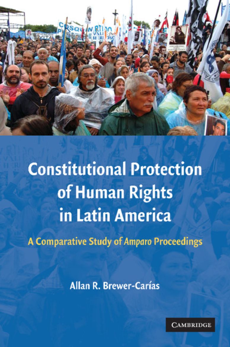 Immagine di Constitutional Protection of Human Rights in Latin America