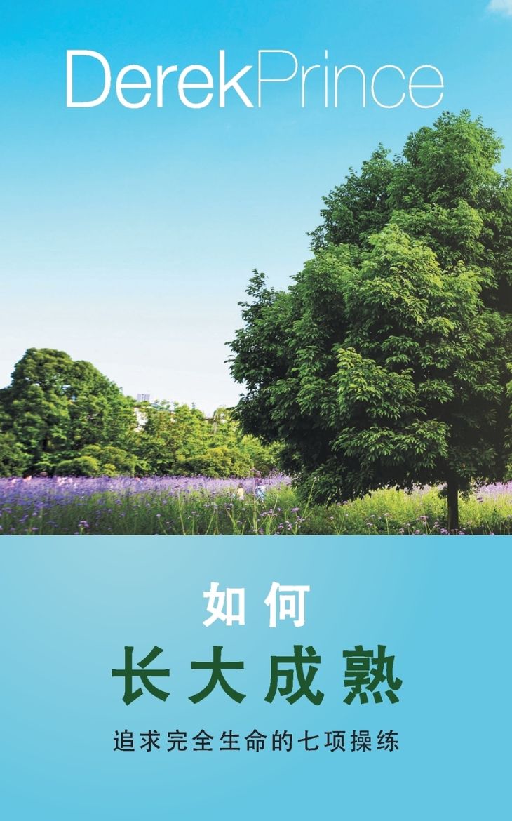 Immagine di Be perfect - CHINESE