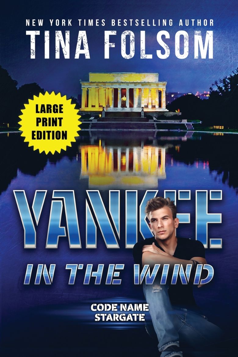 Immagine di Yankee in the Wind (Code Name Stargate #3)
