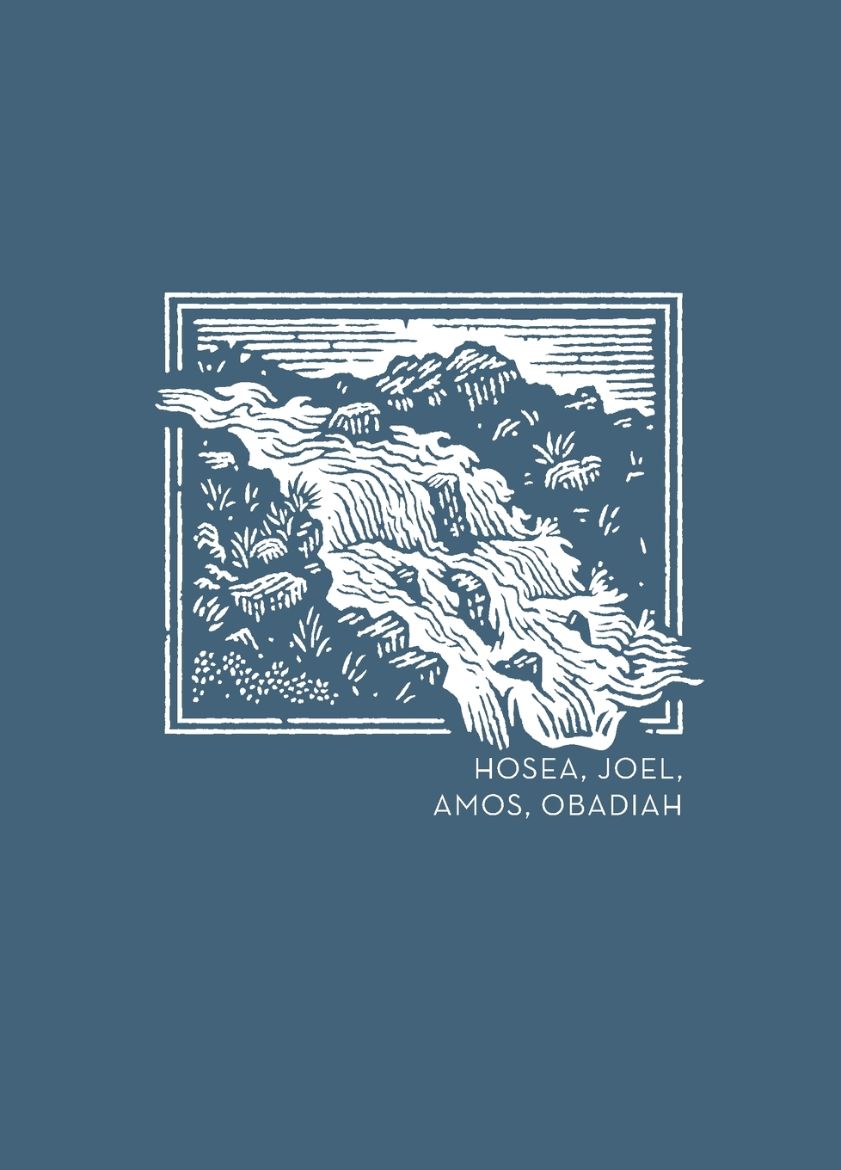 Immagine di La NET Abide Bible Journal - Hosea, Joel, Amos, Obadiah, Paperback, Comfort Print Softcover