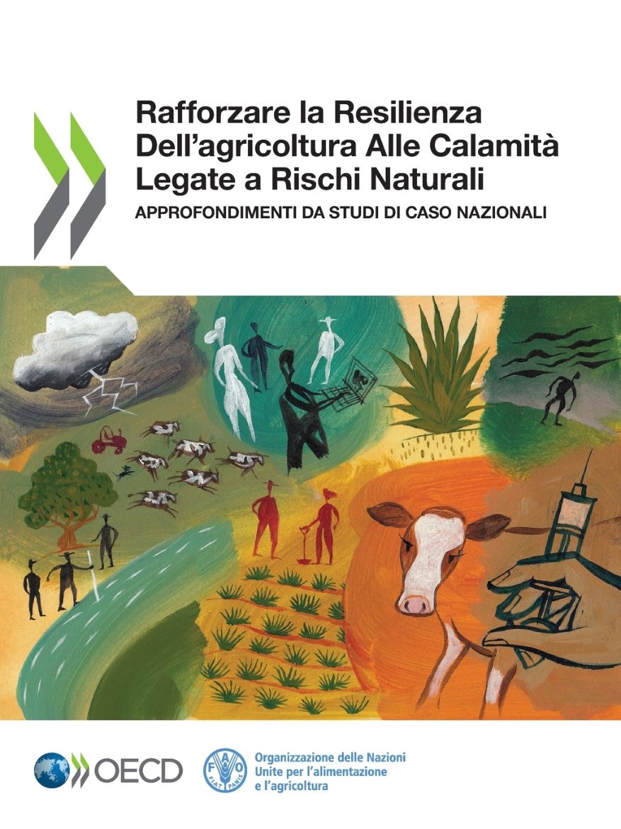 Immagine di Rafforzare la Resilienza Dell'agricoltura Alle Calamità Legate a Rischi Naturali