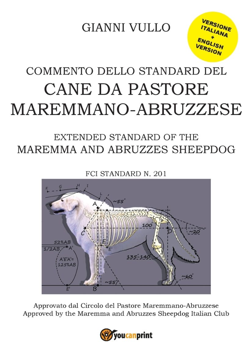 Immagine di Commento dello Standard del cane da Pastore Maremmano-Abruzzese