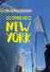 Immagine di Scoprendo New York