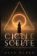 Immagine di Cicli e Scelte