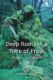 Immagine di Deep Roots in a Time of Frost