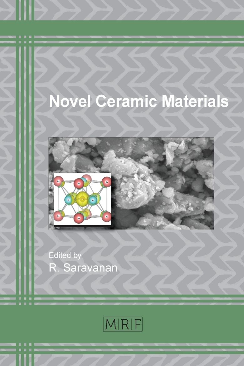 Immagine di Novel Ceramic Materials
