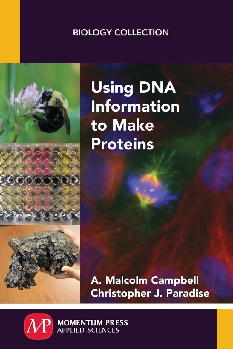 Immagine di Using DNA Information to Make Proteins
