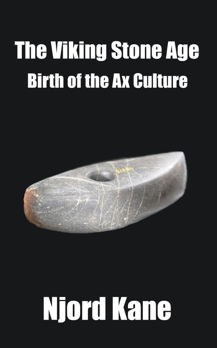 Immagine di The Viking Stone Age