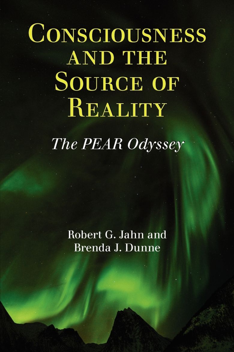 Immagine di Consciousness and the Source of Reality