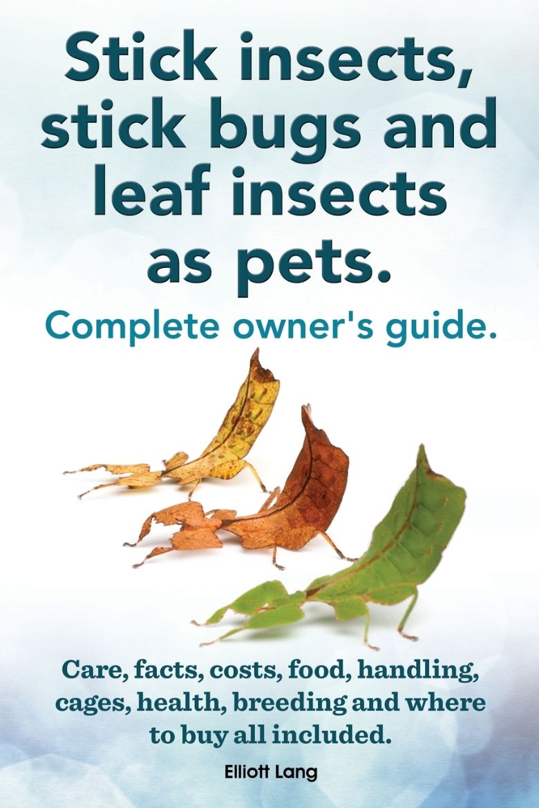 Immagine di Stick Insects, Stick Bugs and Leaf Insects as Pets. Stick Insects Care, Facts, Costs, Food, Handling, Cages, Health, Breeding and Where to Buy All Inc