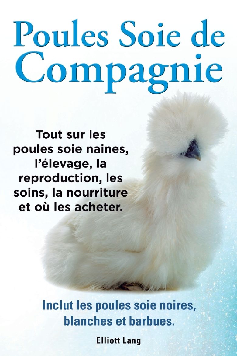 Immagine di Poules soie de compagnie. Tout sur les Poules soie naines, l'élevage, la reproduction, les soins, la nourriture et où les acheter. Inclut les Poules soie noires, blanches et barbues.