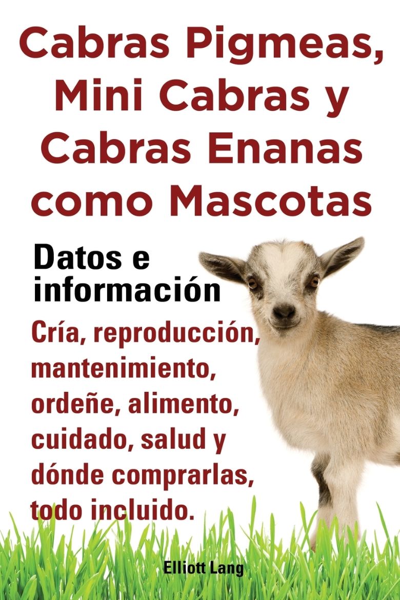 Immagine di Cabras Pigmeas, Mini Cabras y Cabras Enanas Como Mascota. Datos E Informacion. Cria, Reprodu