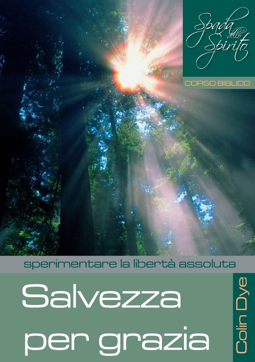 Immagine di Salvezza per grazia