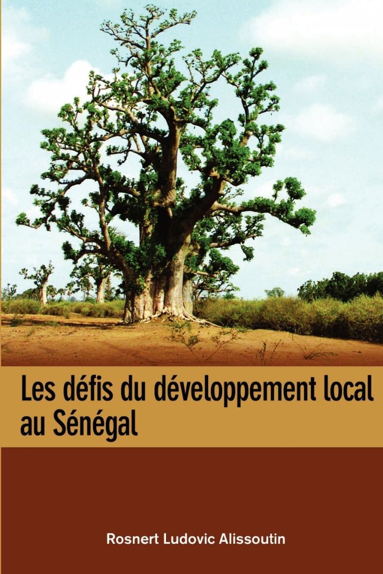 Immagine di Les defis du developpement local au Senegal