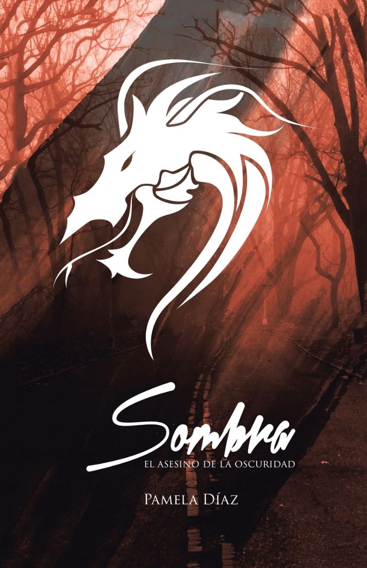 Immagine di Sombra, el asesino de la oscuridad