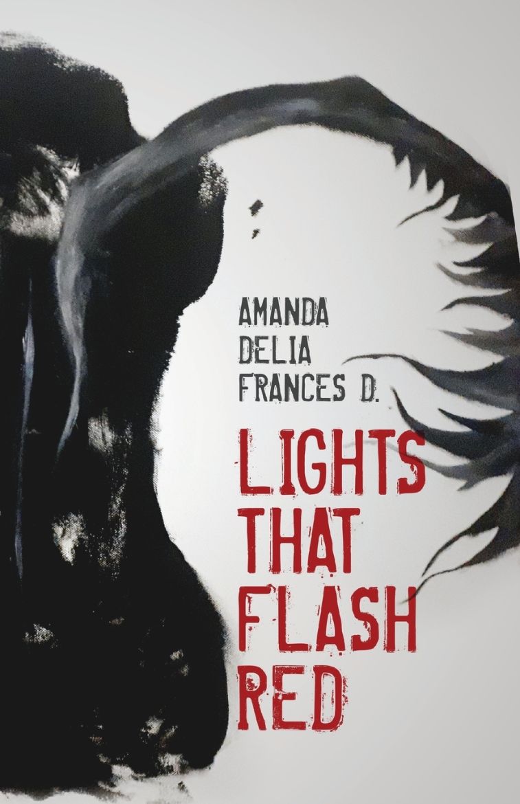 Immagine di Lights That Flash Red