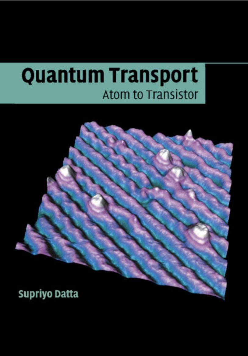 Immagine di Quantum Transport
