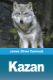 Picture of Kazan