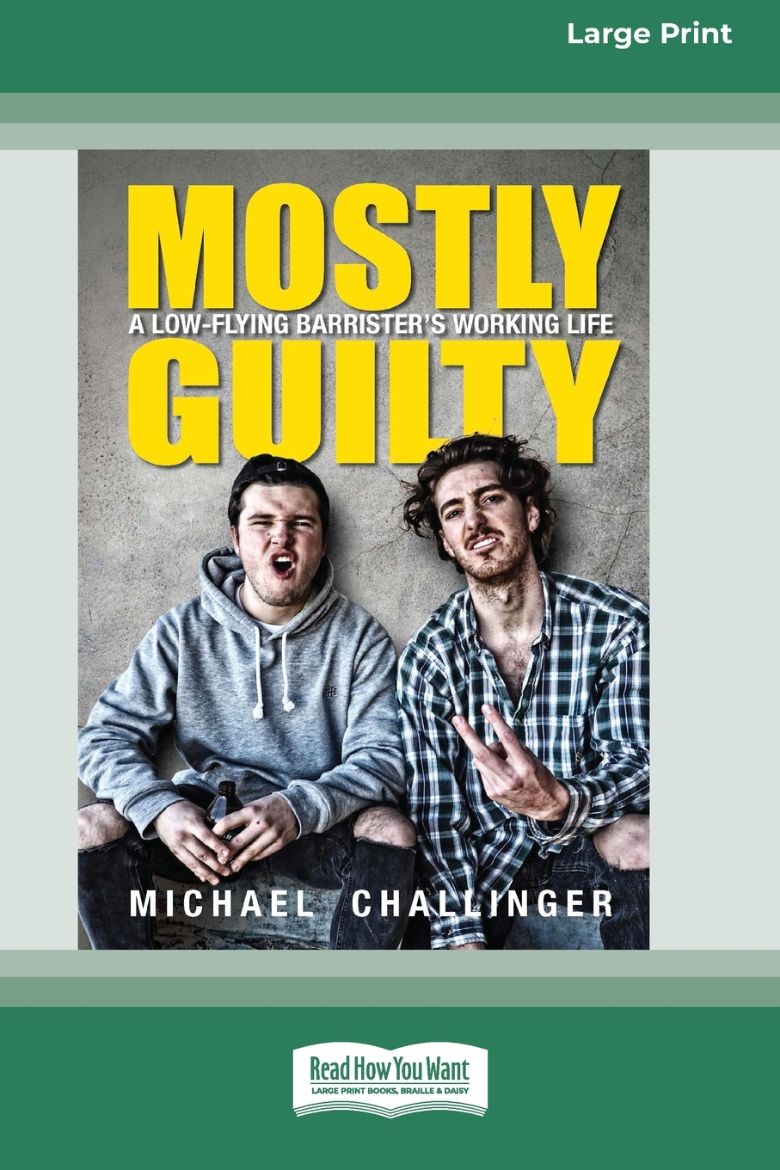 Picture of Mostly Guilty
