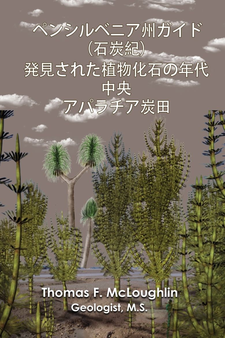 Picture of ペンシルベニア州ガイド（石炭紀）発見された植物化石の年代  中央  アパラチア炭田