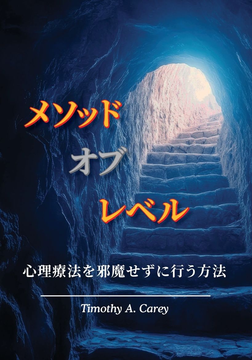 Immagine di メソッド・オブ・レベル